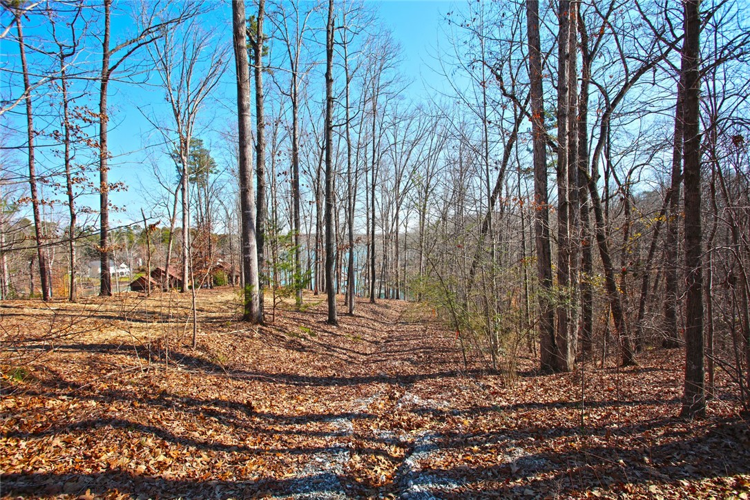 Lot 6 Laurel Pointe Seneca, SC 29672 - Photo 20 of 36 Gallery Image 20