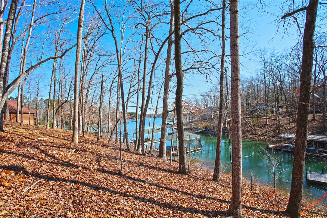 Lot 6 Laurel Pointe Seneca, SC 29672 - Photo 10 of 36 Gallery Image 10