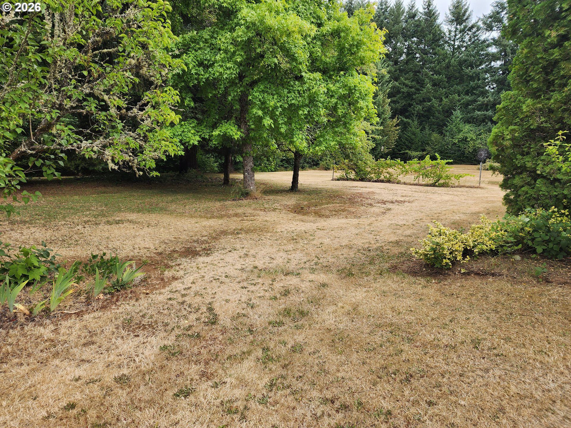 25033 South Beeson Road Beavercreek, OR 97004 - Photo 41 of 48
