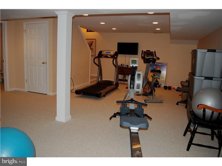 501 Northfield Road Devon, PA 19333 - Photo 22 of 25 Basement - Finished