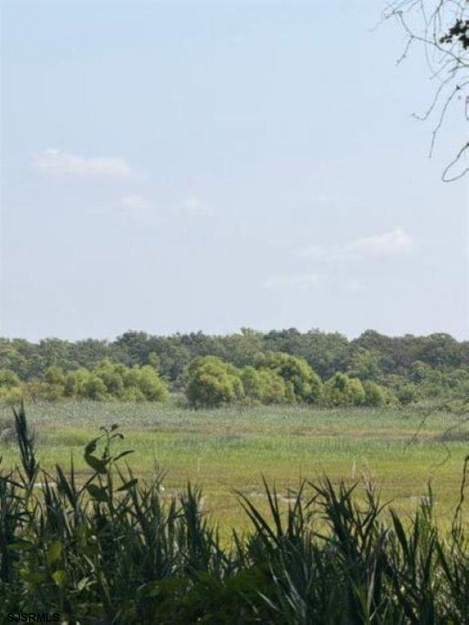 110 Pinewood Road Cape May, NJ 08204 - Photo 3 of 18 Gallery Image 3