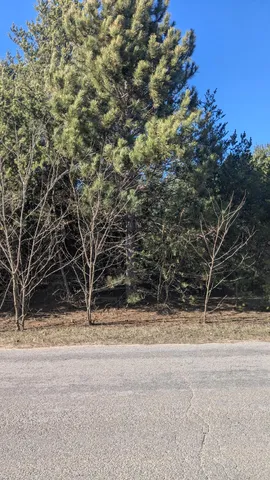 $18,900 | 0 10th Street, Bear Lake, MI 49614