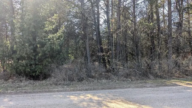 $18,900 | 0 10th Street, Bear Lake, MI 49614