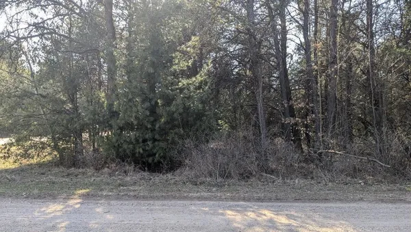 $18,900 | 0 10th Street, Bear Lake, MI 49614