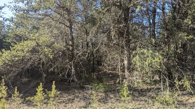 $18,900 | 0 10th Street, Bear Lake, MI 49614