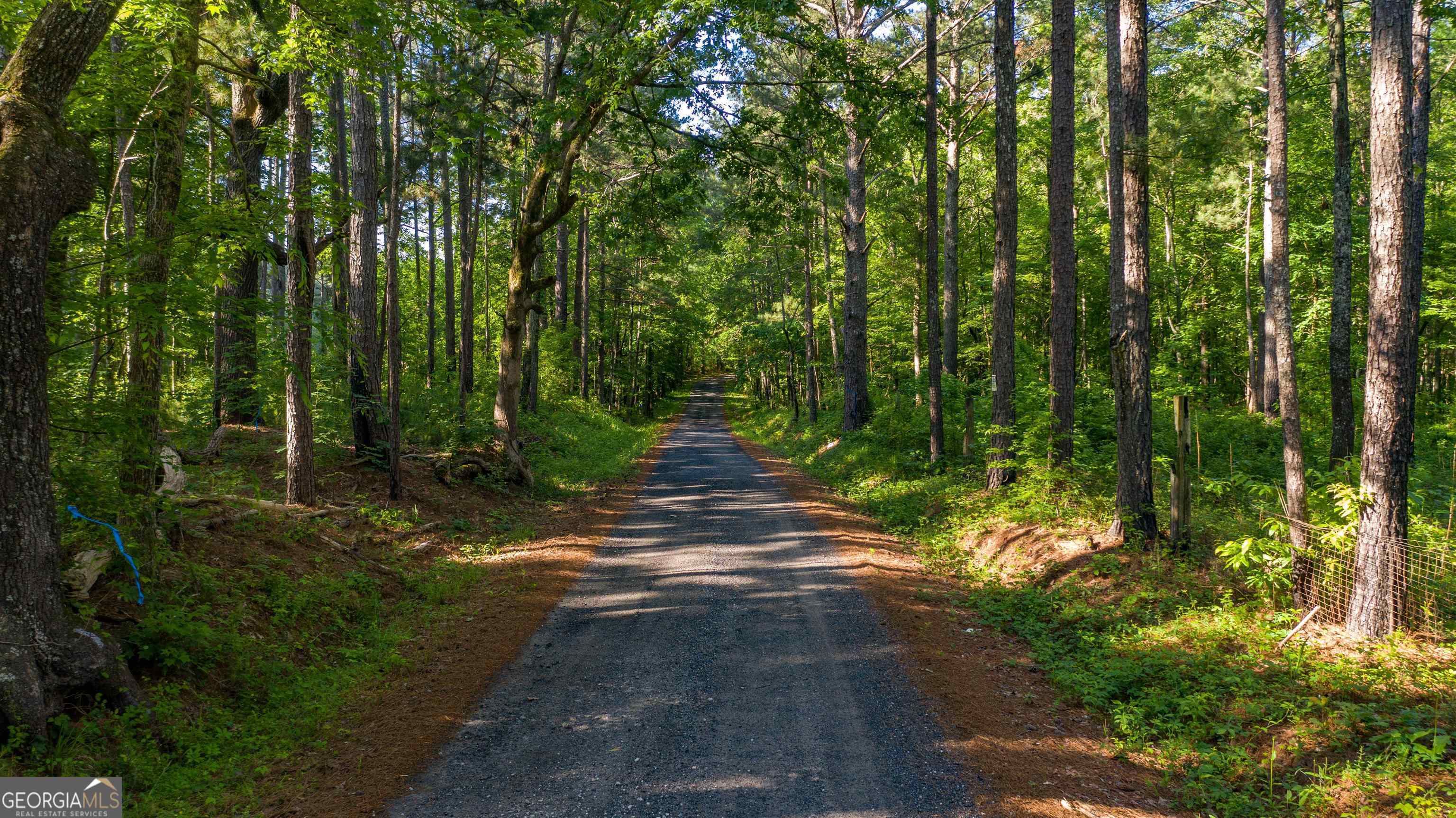 0 Padgett Road, Unit LOT 9 Senoia, GA 30276 - Photo 3 of 3 a view of backyard