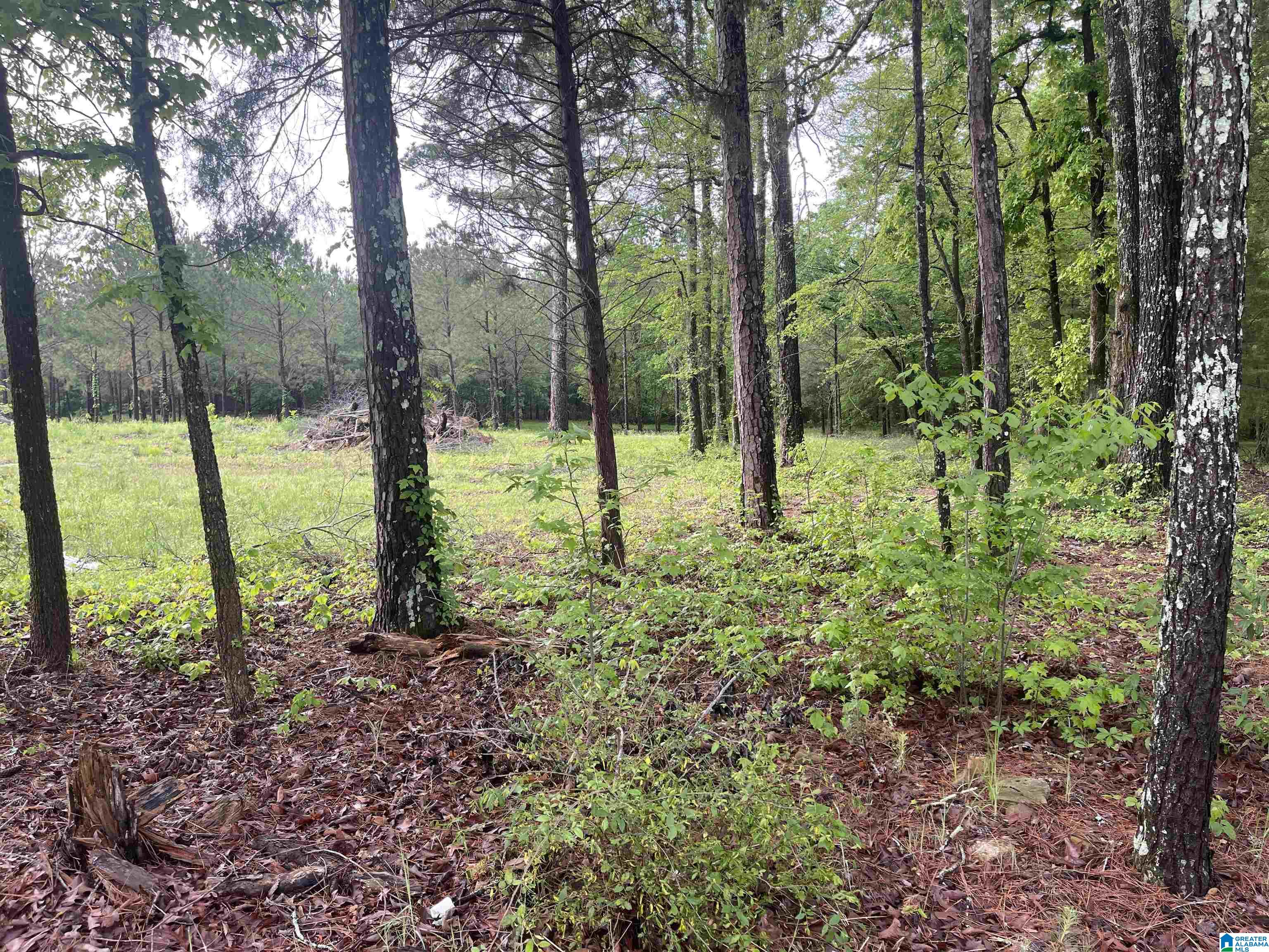 2760 Mitchellville Road, Unit 2 75 Lincoln, AL 35096 - Photo 3 of 11