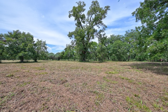 Tbd Pryor Road Brookshire, TX 77423 - Photo 24 of 31 Gallery Image 24