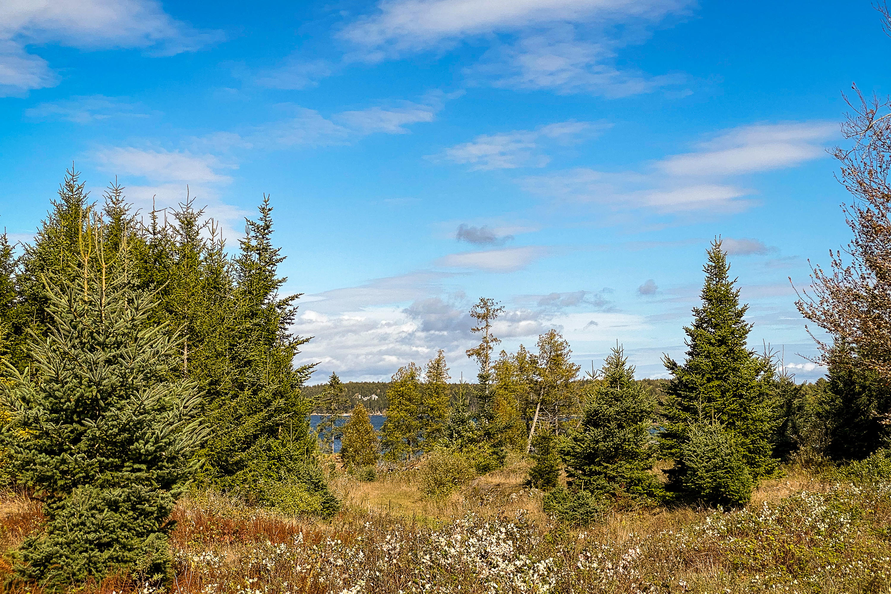 13 Hermit's Point Road Islesboro, ME 04848 - Photo 20 of 32 13HermitsPoint_21_S_print