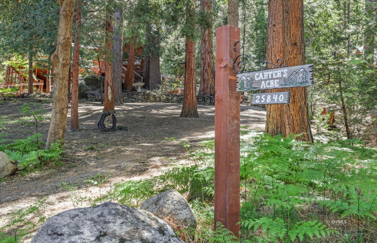 25840 Wayne Road Idyllwild, CA 92549 - Photo 3 of 46 Quiet & Inviting