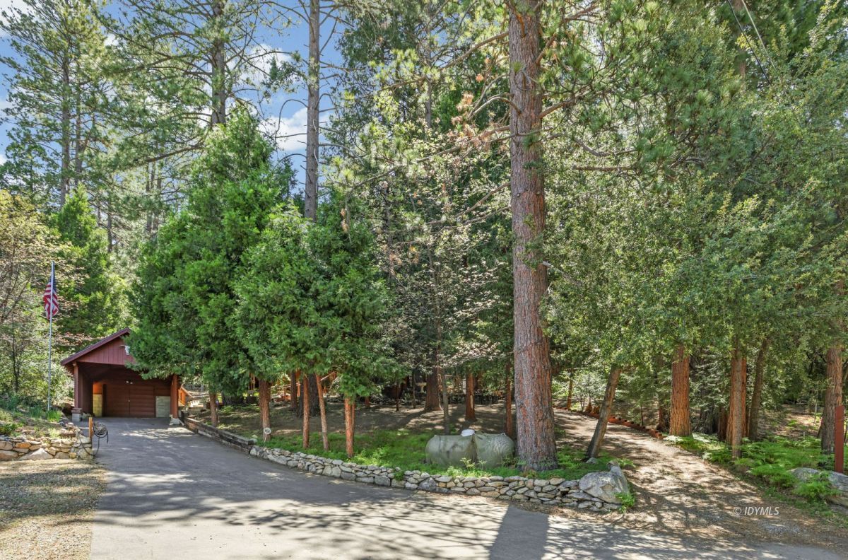 25840 Wayne Road Idyllwild, CA 92549 - Photo 5 of 46 Wooded setting!