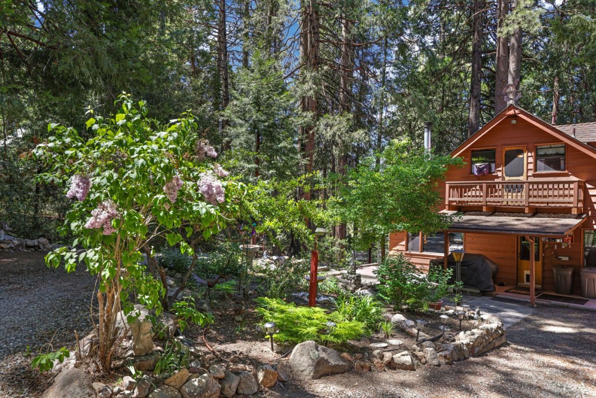 25840 Wayne Road Idyllwild, CA 92549 - Photo 42 of 46 Blooming Spring lilacs!