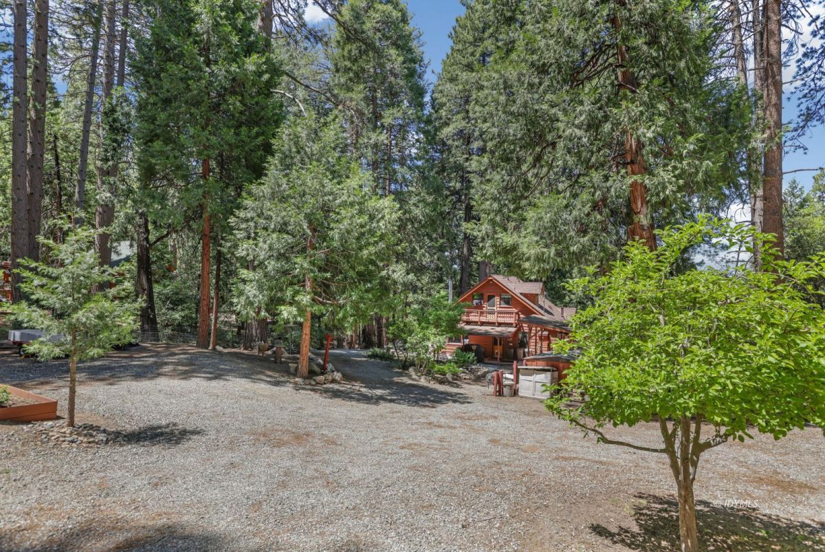 25840 Wayne Road Idyllwild, CA 92549 - Photo 44 of 46 HUGE rear lot!