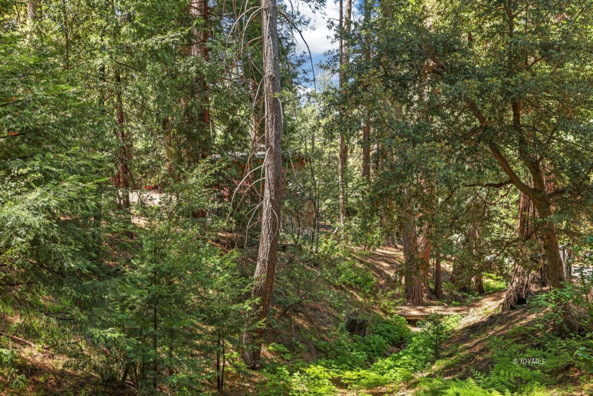 25840 Wayne Road Idyllwild, CA 92549 - Photo 46 of 46 Seasonal creek!