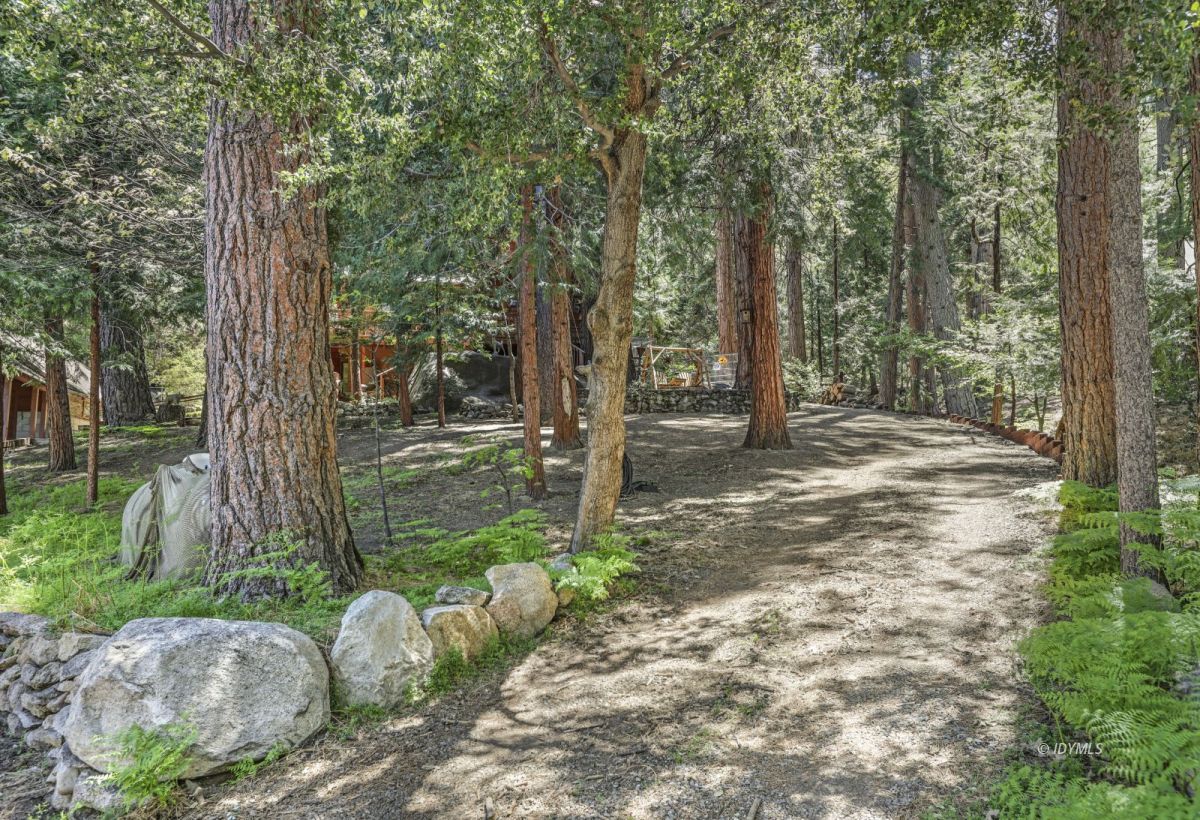 25840 Wayne Road Idyllwild, CA 92549 - Photo 6 of 46 Front yard
