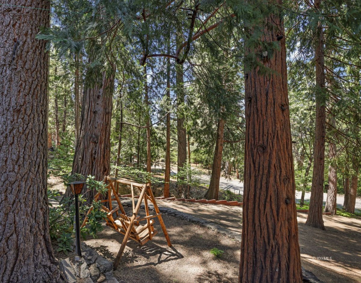 25840 Wayne Road Idyllwild, CA 92549 - Photo 10 of 46 Enjoy the deer that roam the property