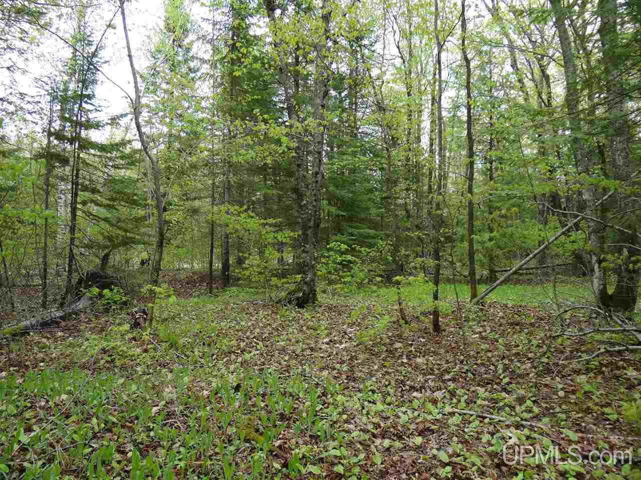 Tbd Freda Road Houghton, MI 49931 - Photo 12 of 15