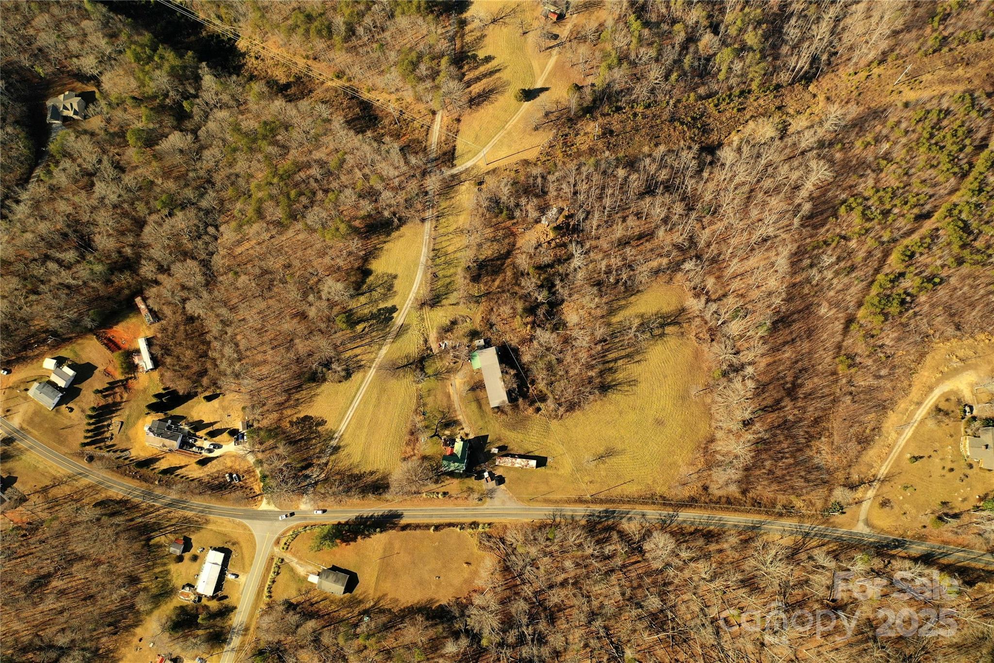 1632 Vein Mountain Road Nebo, NC 28761 - Photo 14 of 14 a view of a yard with a tree