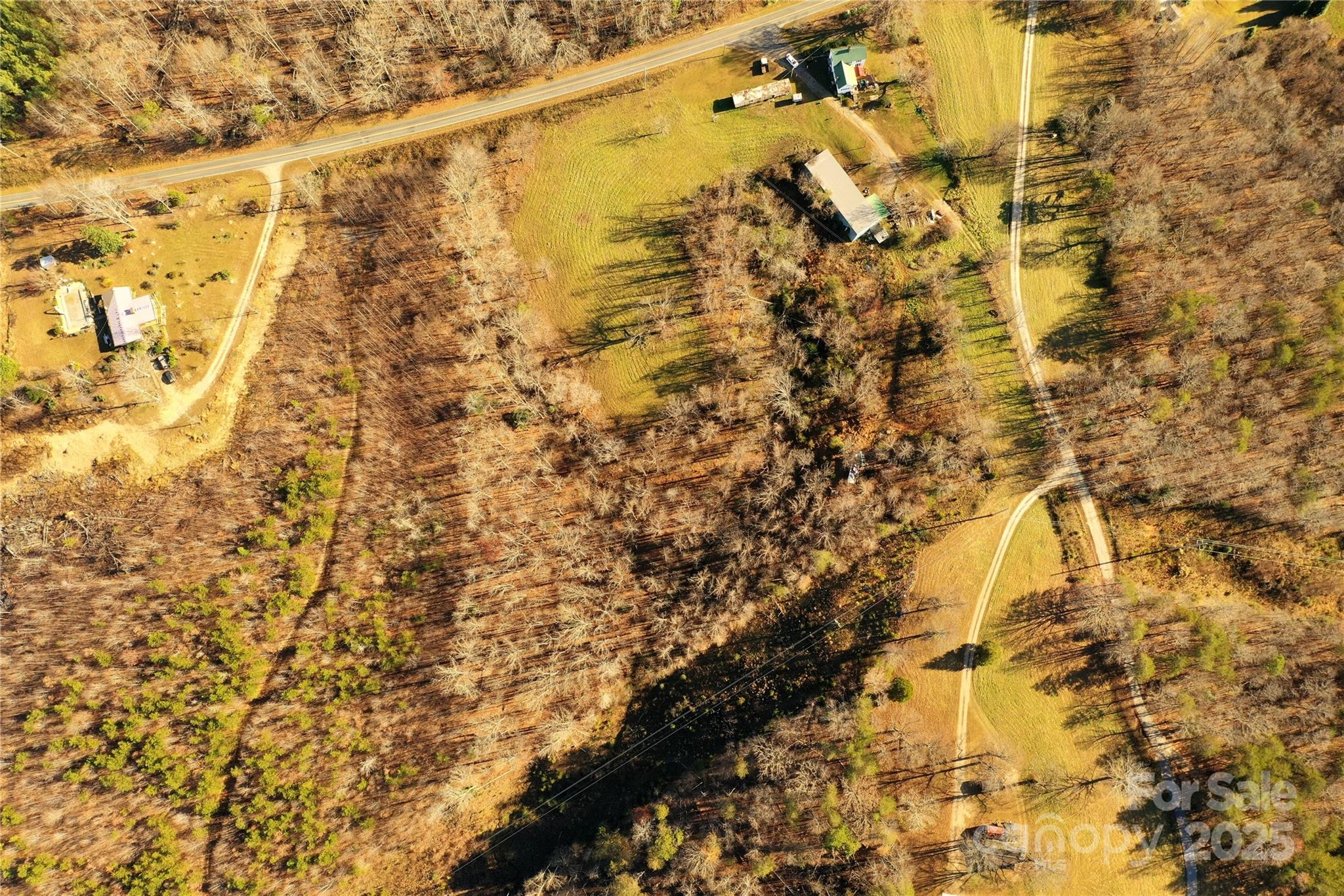 1632 Vein Mountain Road Nebo, NC 28761 - Photo 8 of 14 a view of a yard