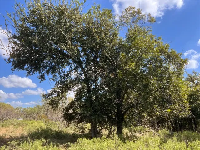 a view of a fountain in middle of the green field