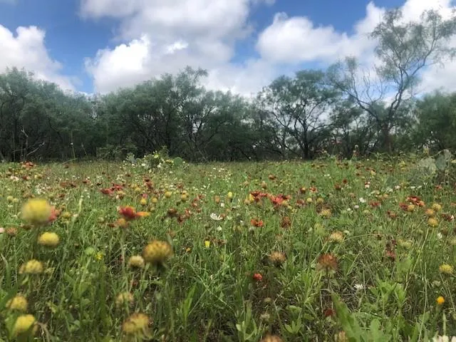 a view of a lake with houses
