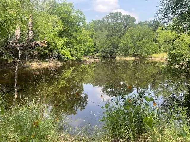 a view of a lake background with houses