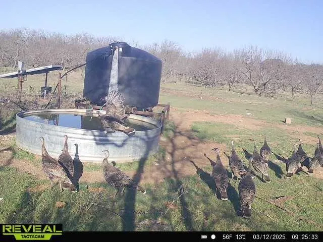 a view of a lake with a mountain in the background