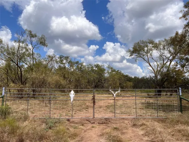 a view of backyard with green space