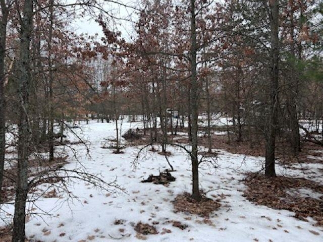 Lot B West 14 Road Mesick, MI 49668 - Photo 6 of 37