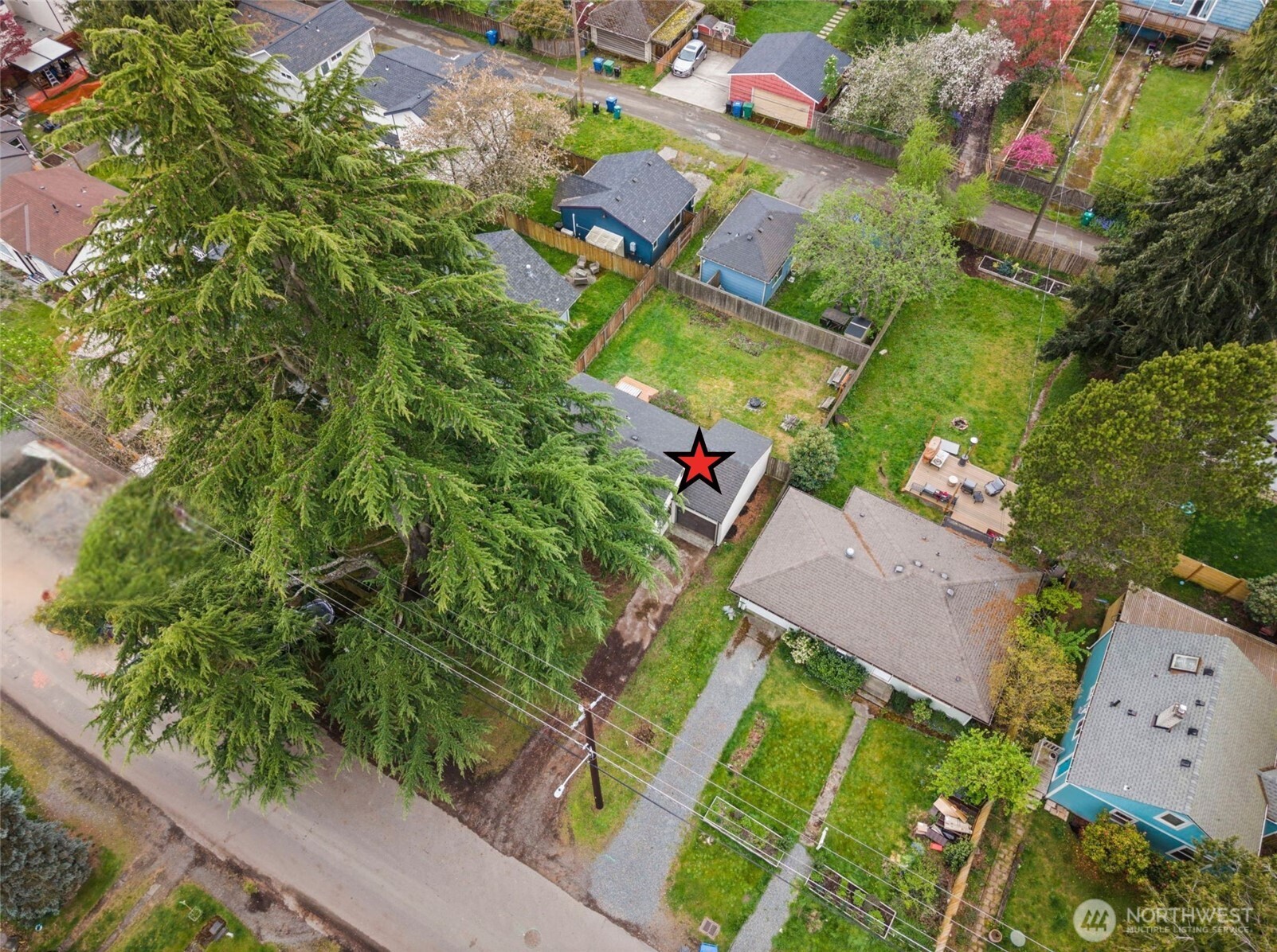 9747 Evanston Avenue North Seattle, WA 98103 - Photo 4 of 34 an aerial view of houses with yard