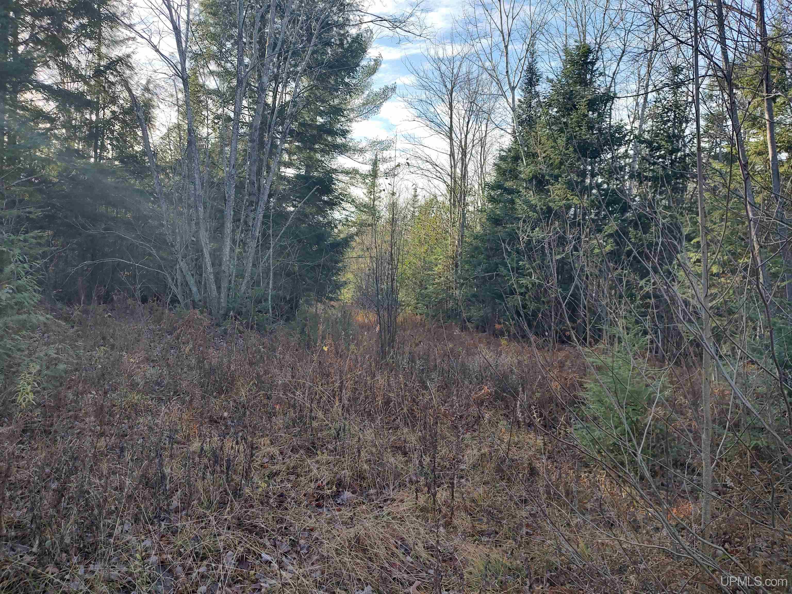 Tbd Billie Helmer Road Deerton, MI 49822 - Photo 8 of 20