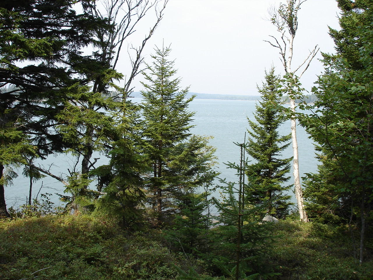 563 Rays Point Road Milbridge, ME 04658 - Photo 12 of 13 RaysPt4