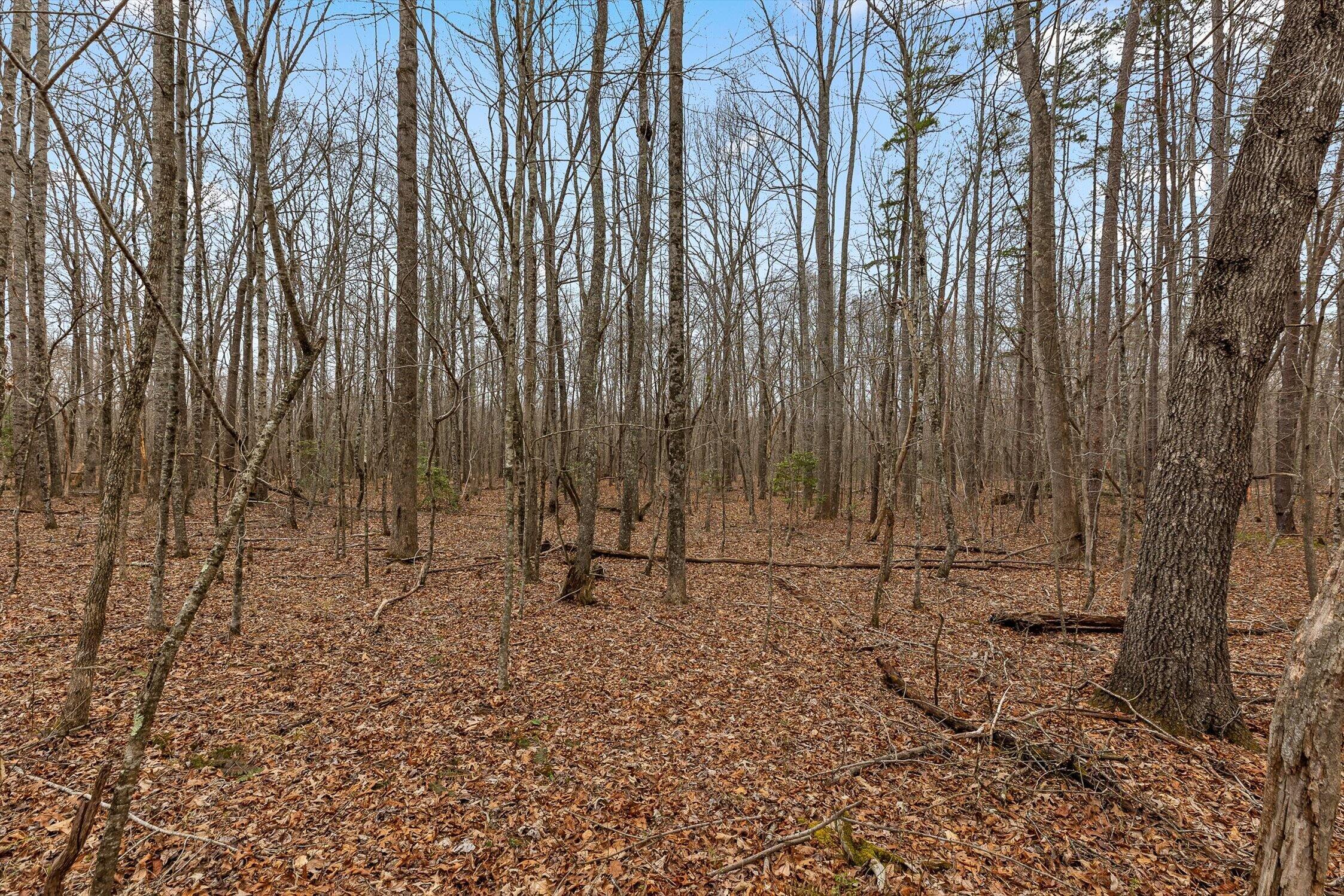 225 Prater Road Pikeville, TN 37367 - Photo 13 of 25 225 Prater Road