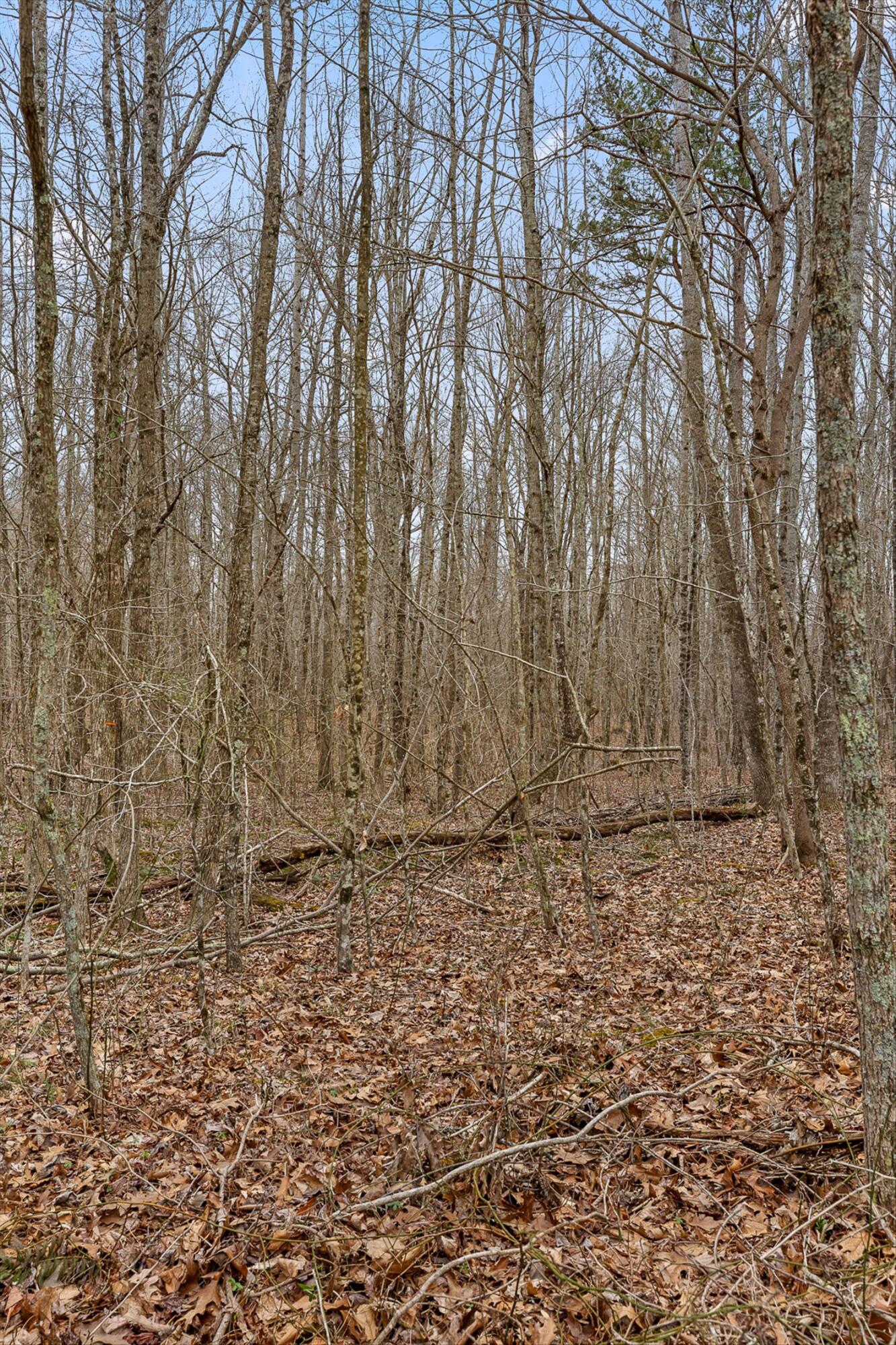 225 Prater Road Pikeville, TN 37367 - Photo 15 of 25 225 Prater Road