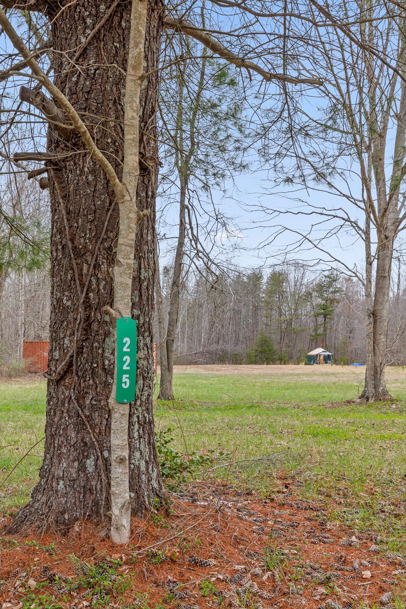 225 Prater Road Pikeville, TN 37367 - Photo 2 of 25 225 Prater Road