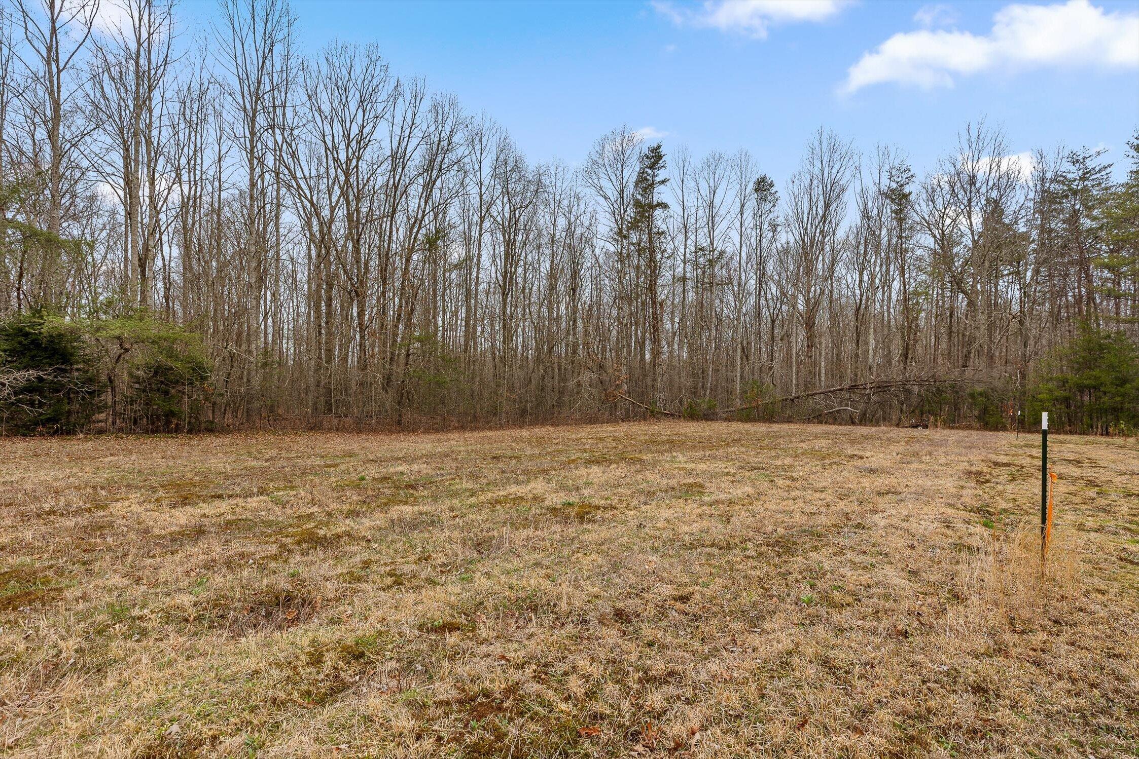 225 Prater Road Pikeville, TN 37367 - Photo 10 of 25 225 Prater Road