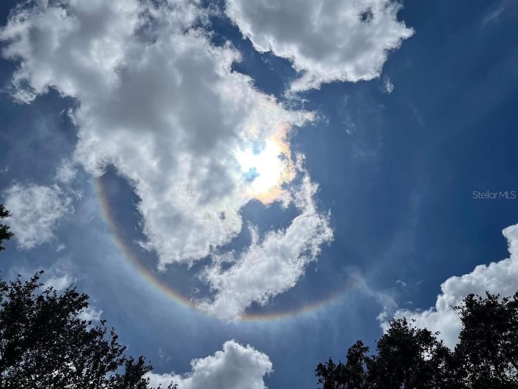 4756 Old Stone Road Sarasota, FL 34233 - Photo 40 of 41