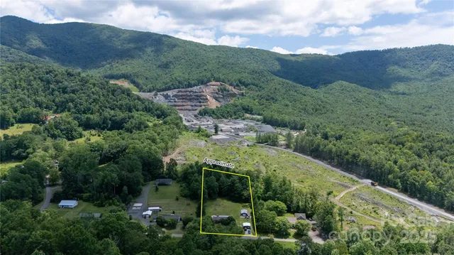 a view of a lush green forest with mountains in the background