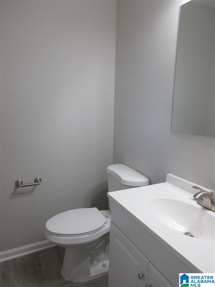 908 Graham Lane Mount Olive, AL 35117 - Photo 9 of 20
