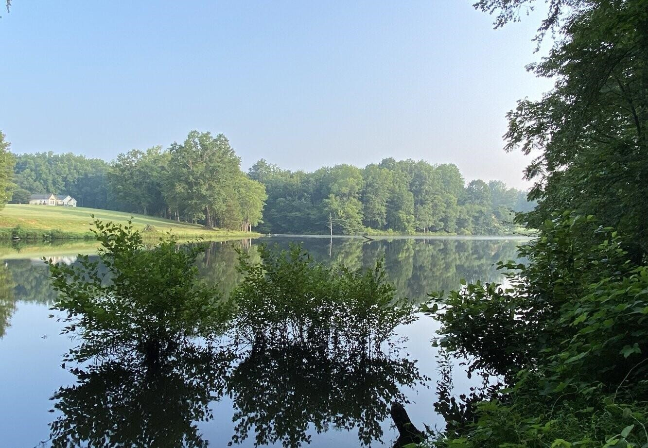 3809 Hall Road Rougemont, NC 27572 - Photo 2 of 16 Lake/Pond View at shoreline