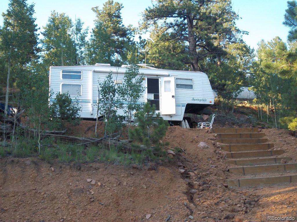 460 Hall Road Bailey, CO 80421 - Photo 1 of 1 a view of a house with a yard