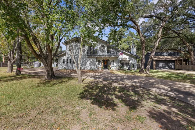a tree in the middle of a yard