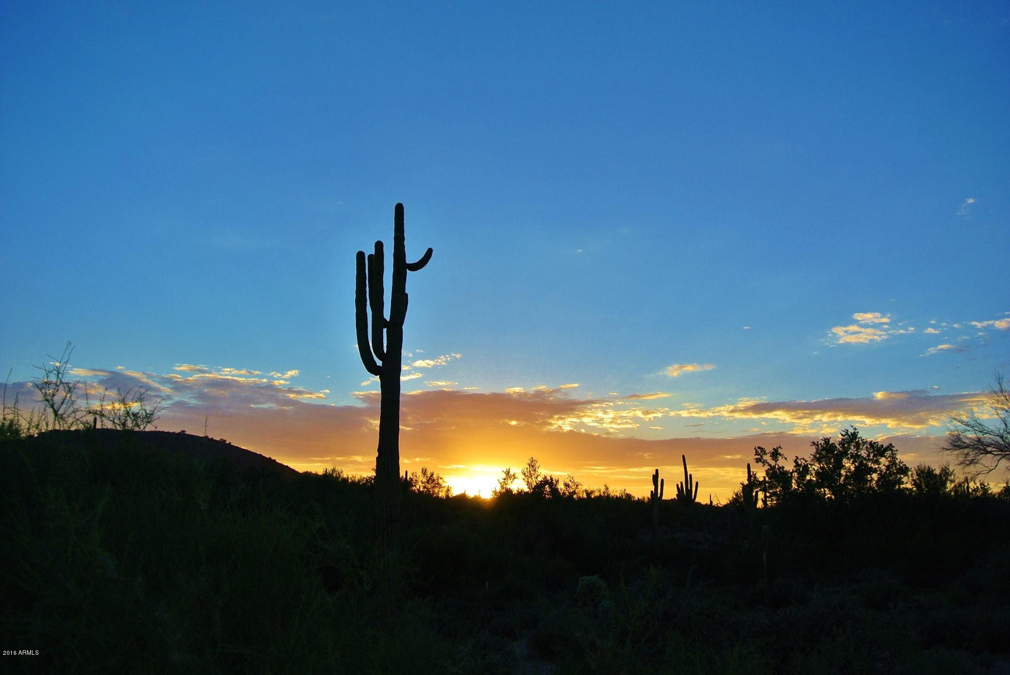 25609 Forest Road, Unit 8 Rio Verde, AZ 85263 - Photo 21 of 22 Beautiful Skies!