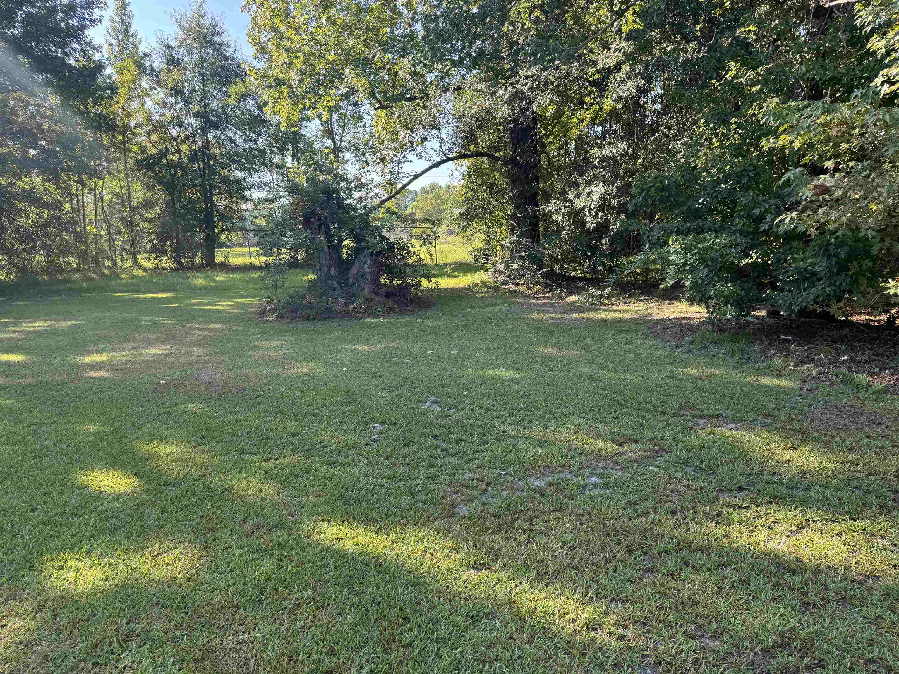194 East Ashley Street Atmore, AL 36502 - Photo 3 of 17 Yard