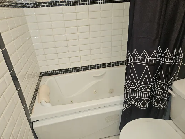 a bathroom with a toilet and a bathtub