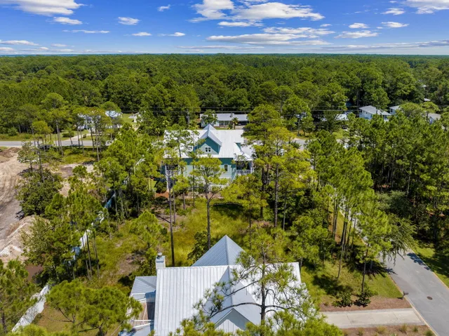 an aerial view of residential houses with outdoor space and trees