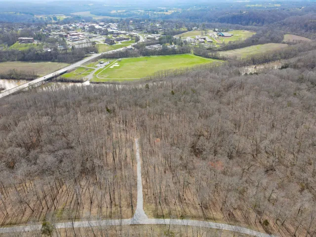 a view of a swimming pool with a yard and large trees
