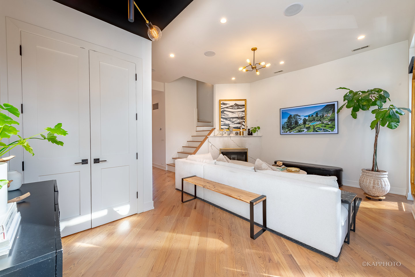 15 North Ada Street Chicago, IL 60607 - Photo 4 of 41 a living room with furniture and a potted plant