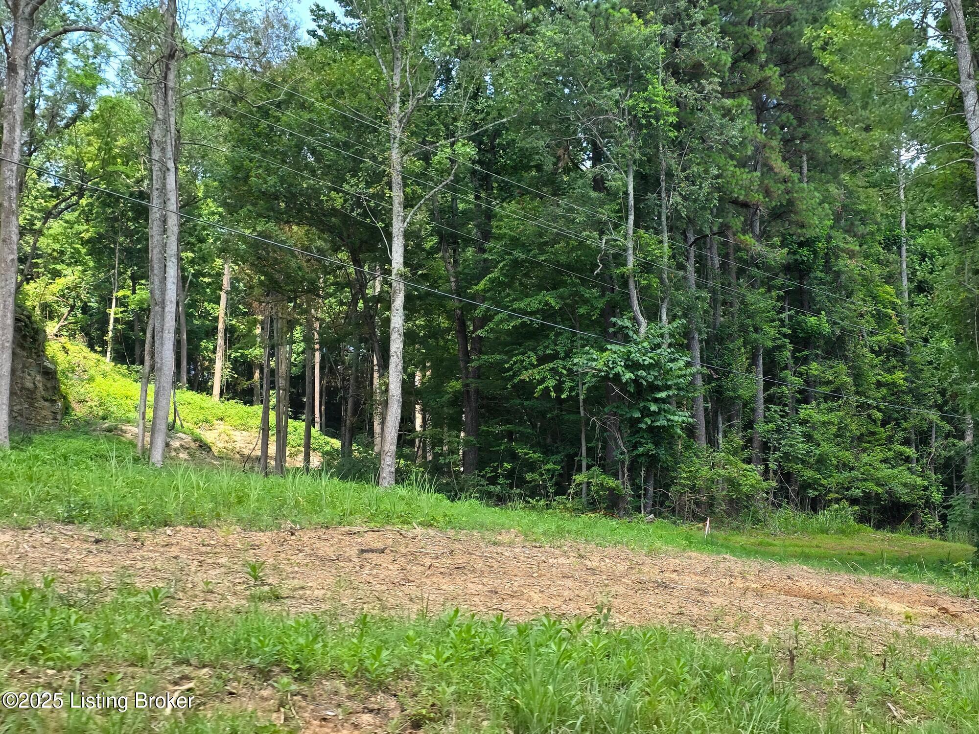 0 Cave Creek Road Falls Of Rough, KY 40119 - Photo 31 of 70 Entire Parcel (28)