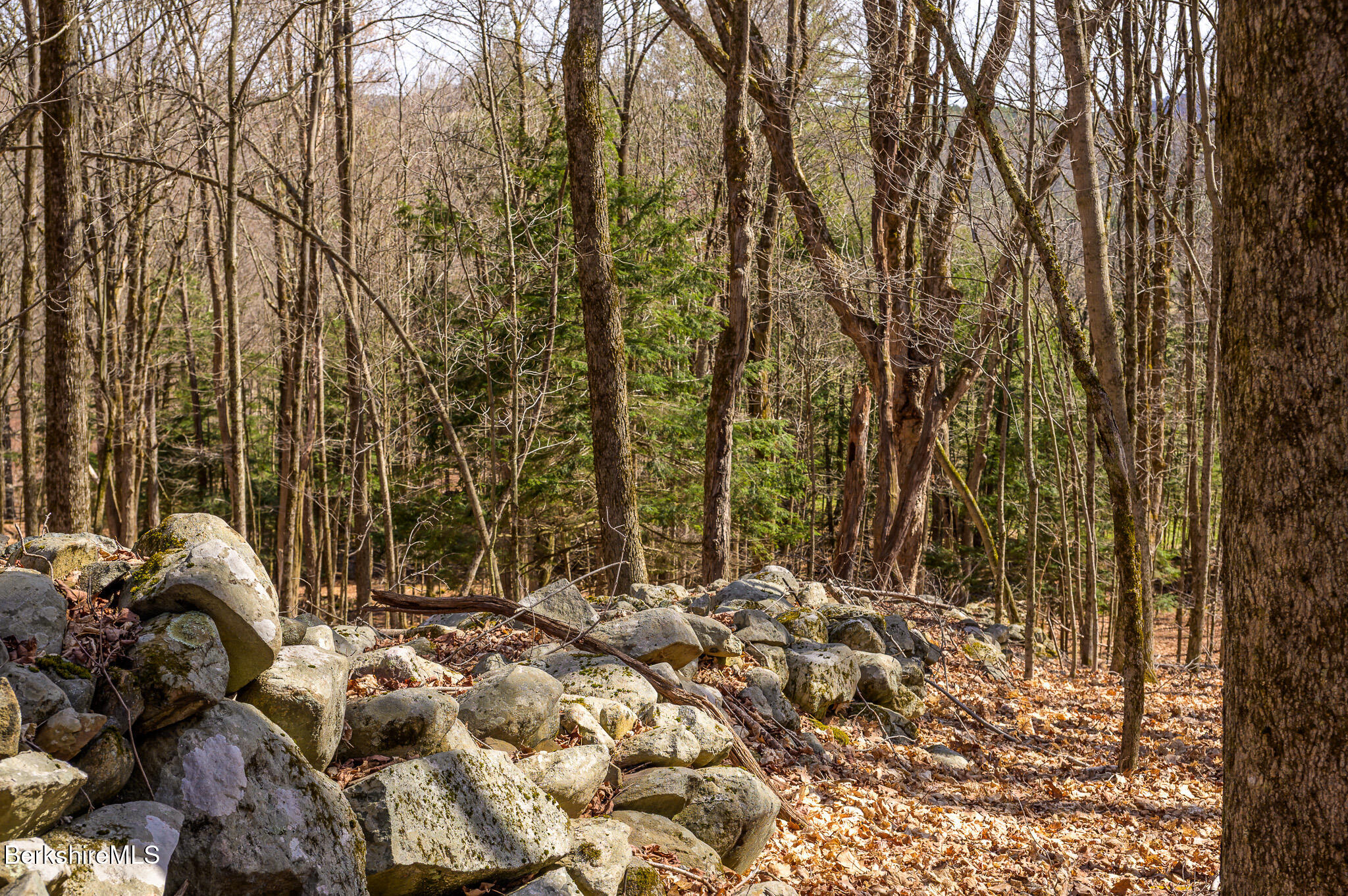 1242 Garfield Road Stephentown, NY 12168 - Photo 33 of 41 Stone Wall